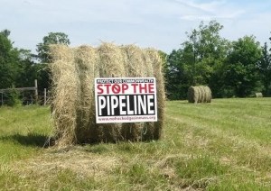 NO-PIPELINE-Greenfyre-Farm